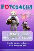 Выставка «Настоящий котячий Эрмитаж»